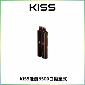 KIS5WAGOO哇酷6500口拋棄式 | 自由混搭雙口味 | 雙芯組合